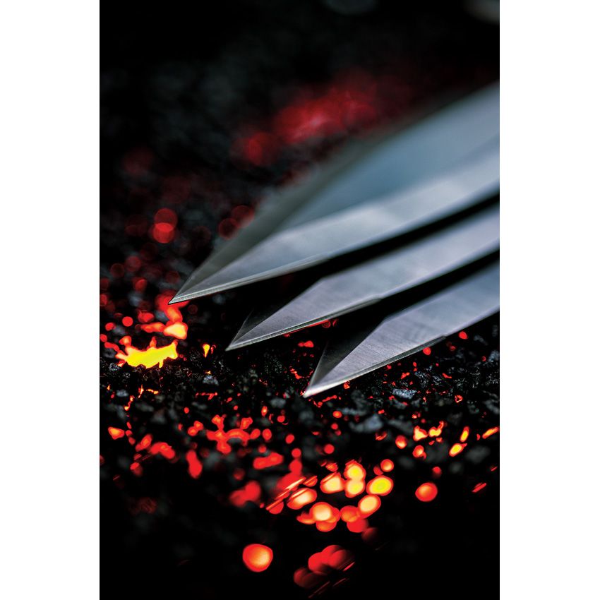 Phoenix Throwing Knives Black- WKTL